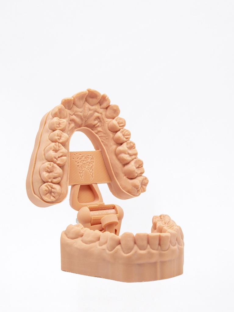 Universal Model