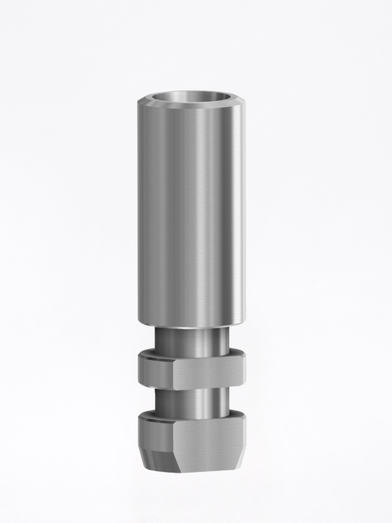 Analogo Internal ANK